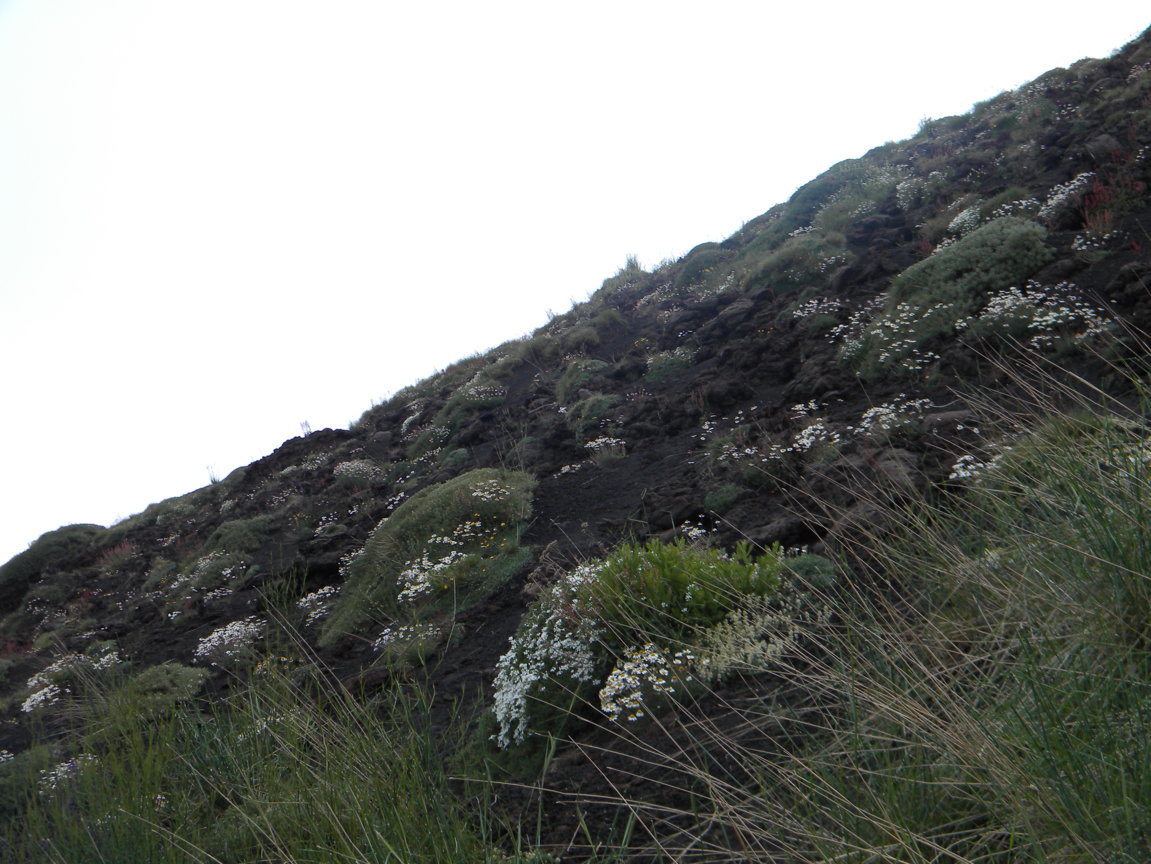 DSCN9495 .JPG